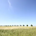 Daheim Mondgelee * Juliusruh